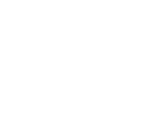 Revellion Moto